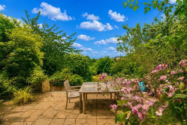 garden 2.jpg