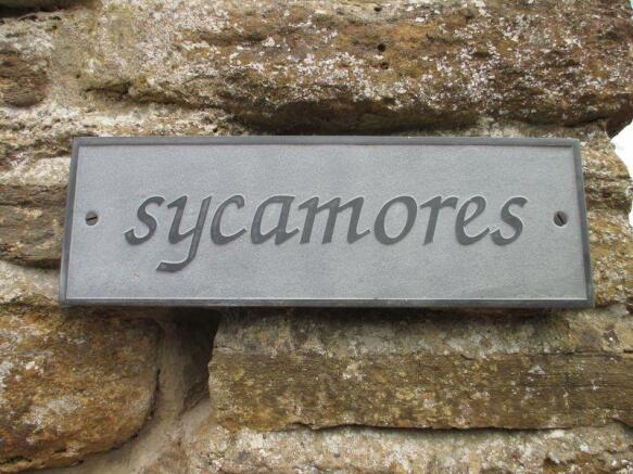Sycamores