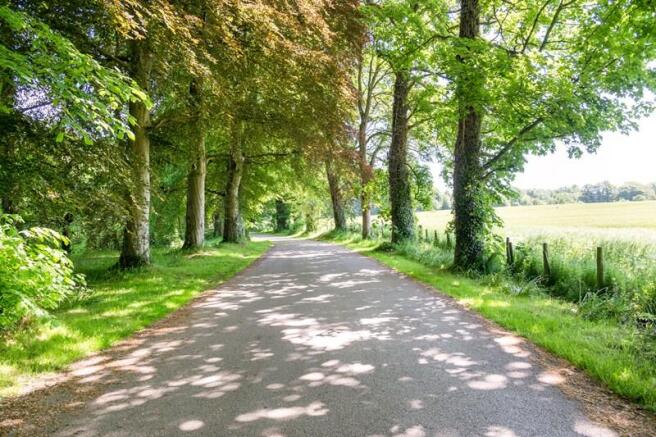 Driveway