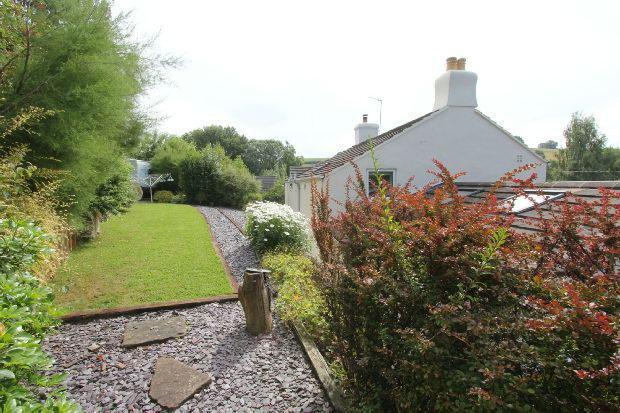 Rear Terrace