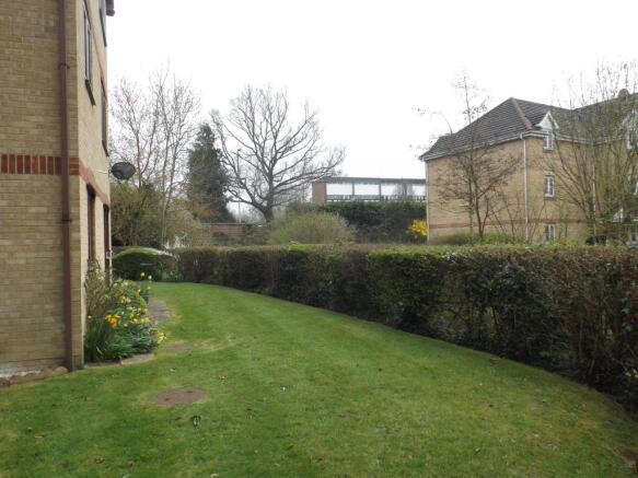 Photo 8