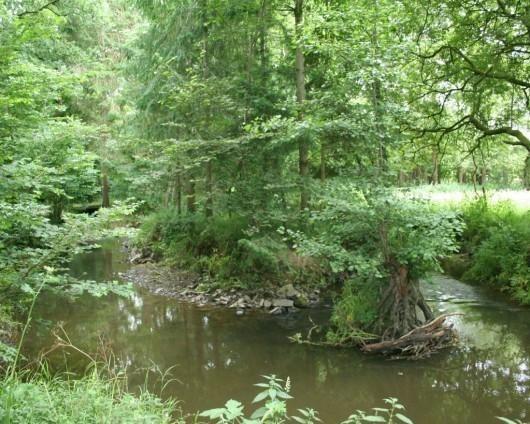 River