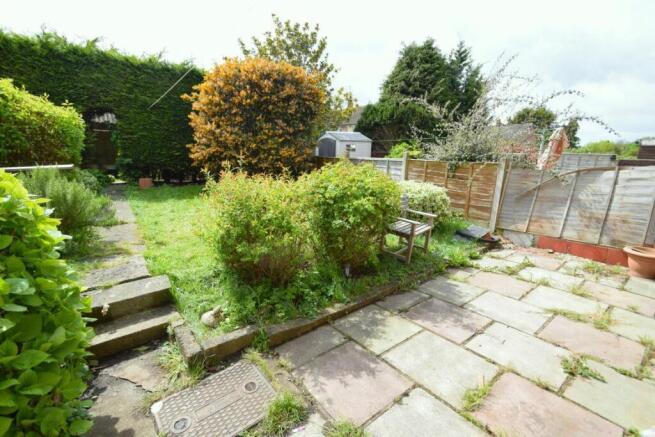 garden 3.jpg