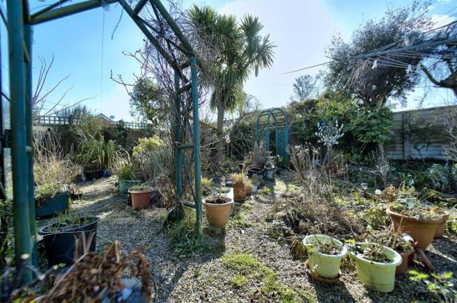 Garden .jpg