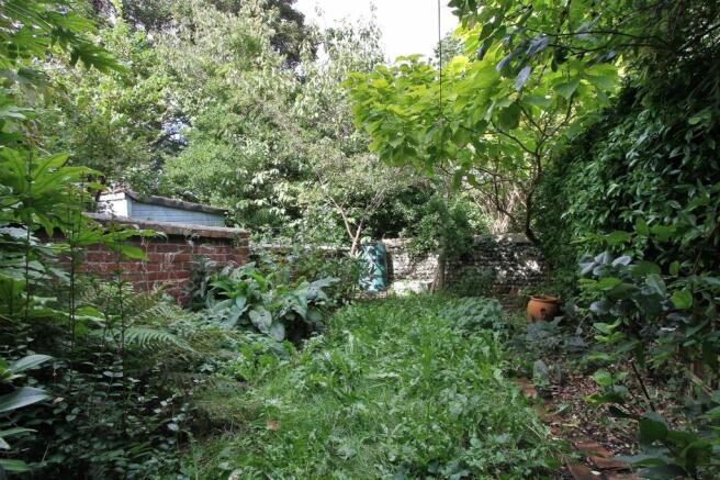 garden (3).jpg