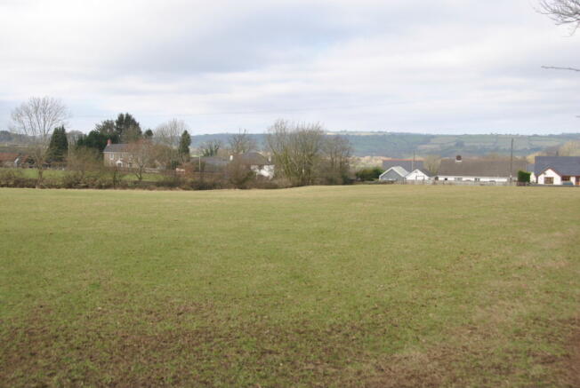 Lower Field View