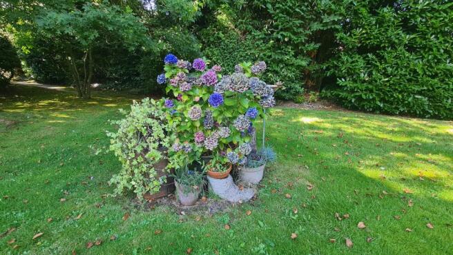 Photo 23