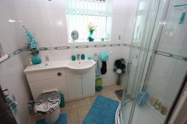 Photo 10
