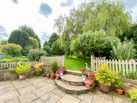Patio and Lawn