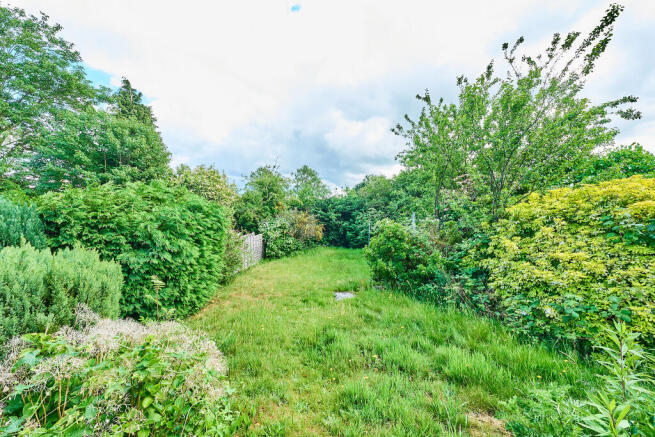 P1461955 T202505281924.jpg