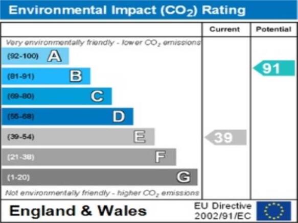 ENVIRONMENTAL  IMPAC