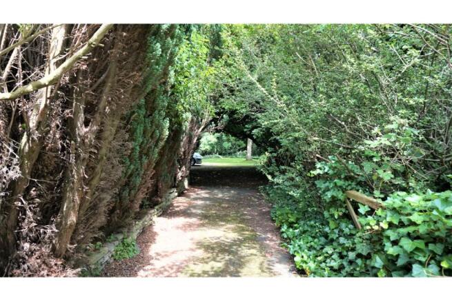 Driveway