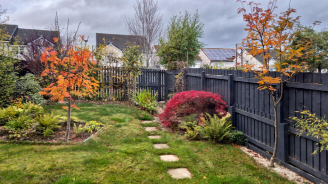 Garden Autumn Colour