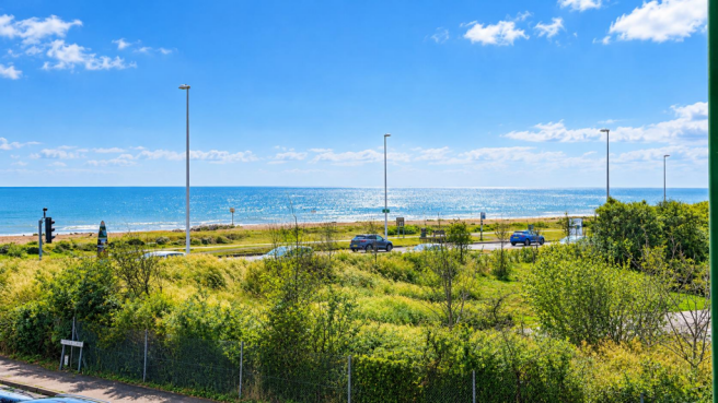Coastal Road and Sparkling Sea.png