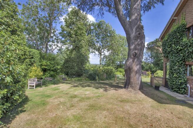 Side Garden