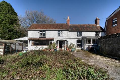Ivy Cross, Shaftesbury