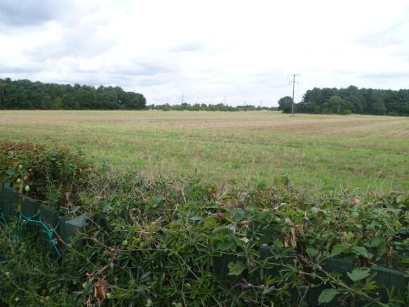 Image 11