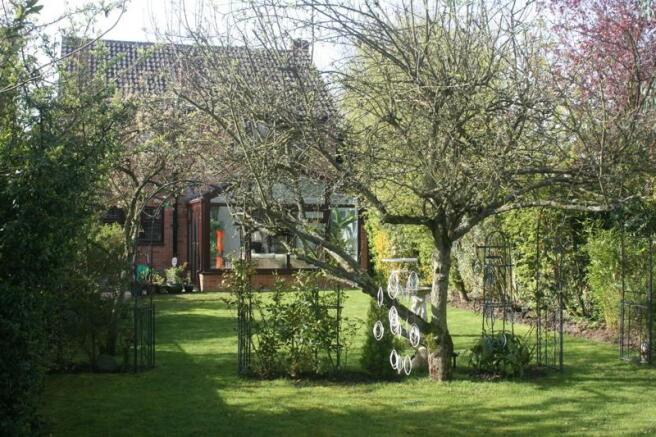 Photo 11