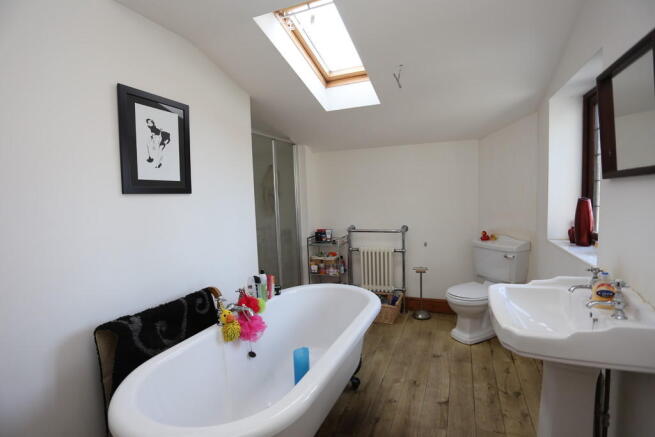 Photo 11
