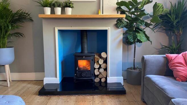 Multi-Fuel Stove