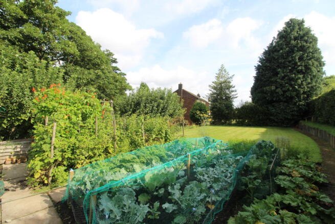 J Vegetable Garden.JPG