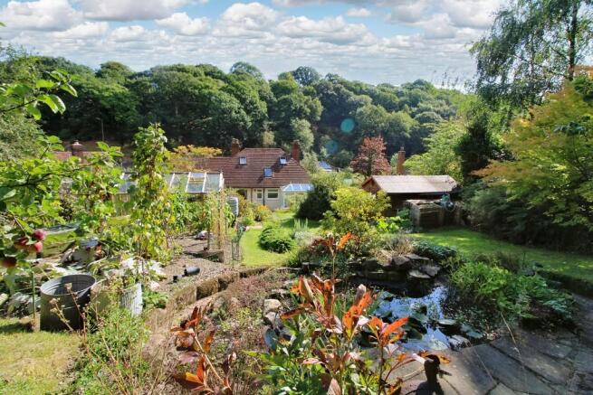 Pond