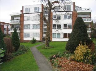 Rear property