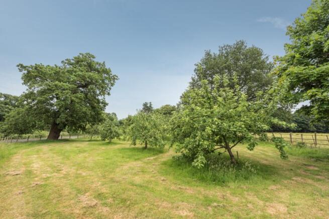 Paddock/Orchard