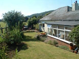 Back Garden