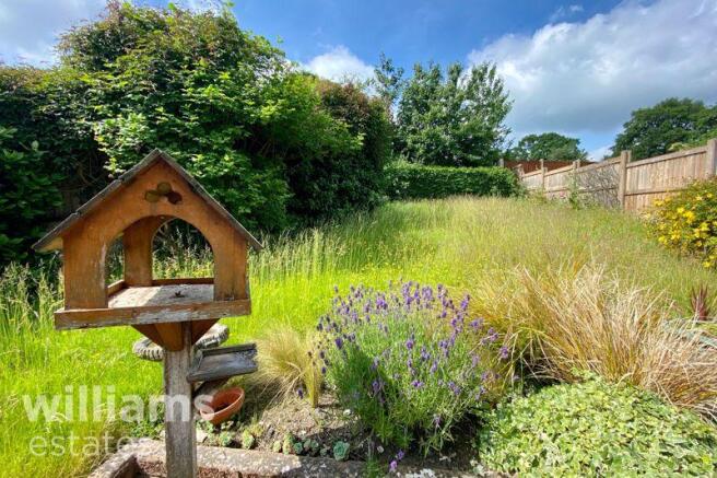 Rear Garden Three