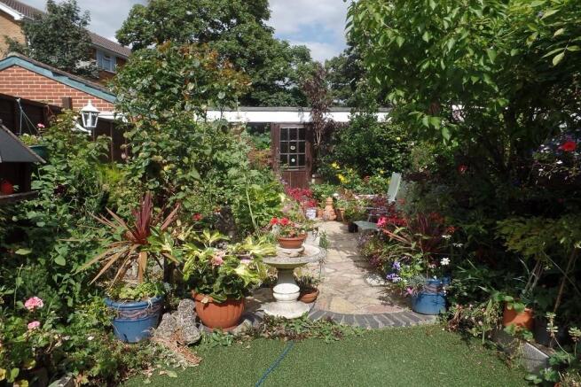 Photo 11