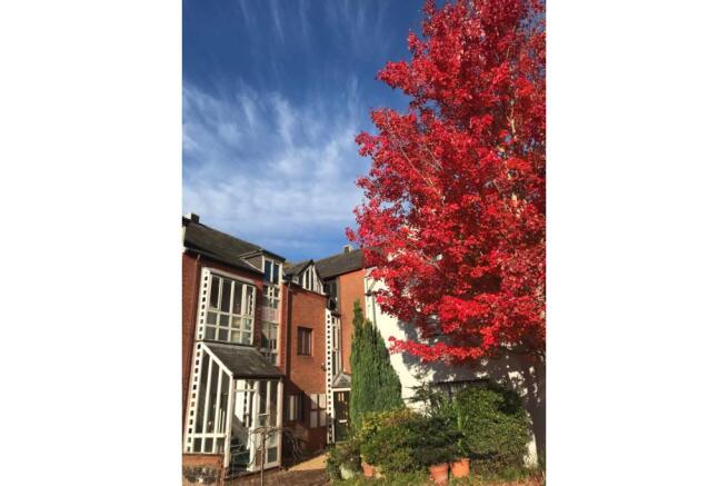 Outside
