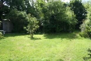 Garden 2