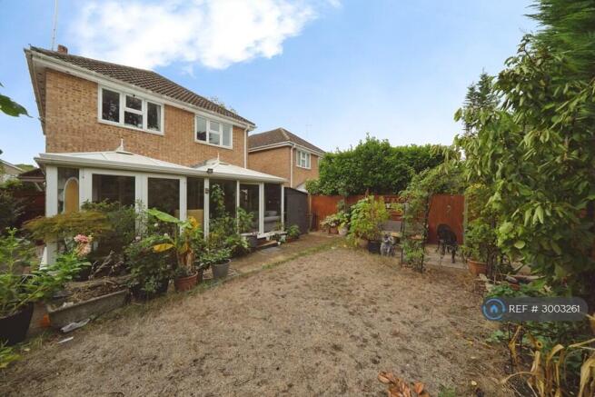 Back Garden