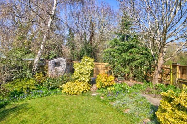 Garden 5.jpg