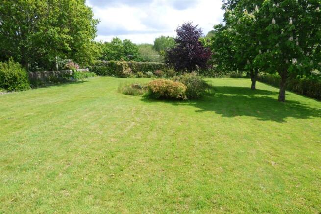 garden.JPG
