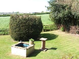 Side Garden