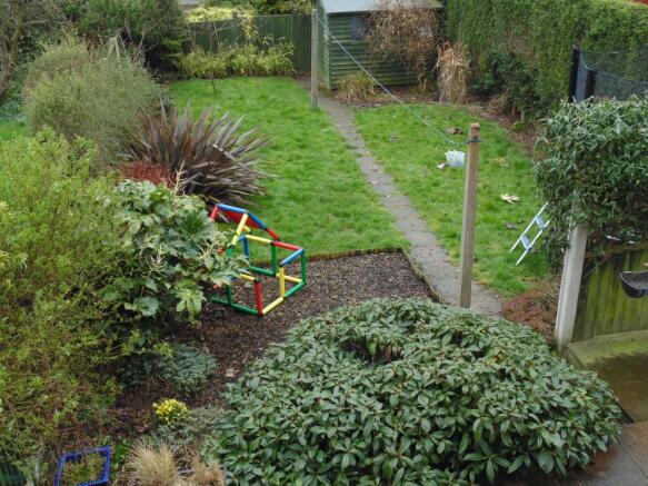 Image 6