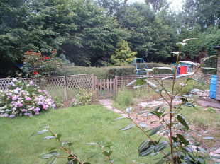 Photo 5