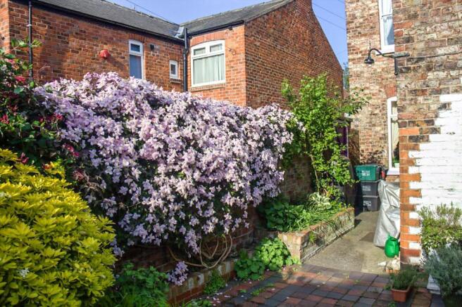 Courtyard Garden
