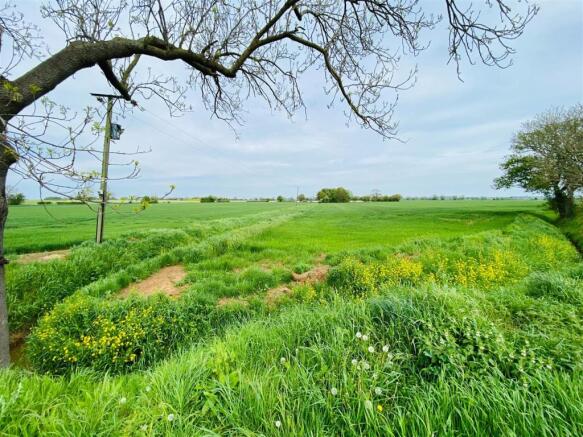 Views Over Open Fields