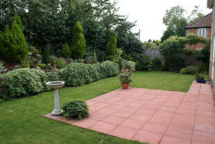 Rear Gardens