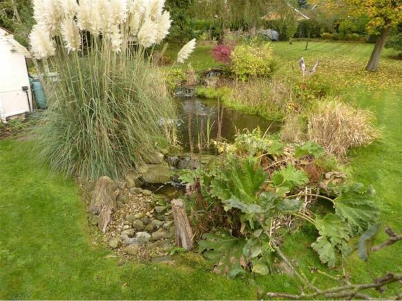 Additional Rear Pond Picture