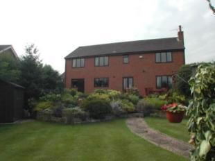 Rear Elevation