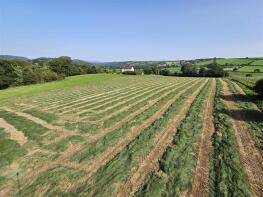 Greenlanes, Road From Perry Spears To The White House, Okehampton EX20 4PD