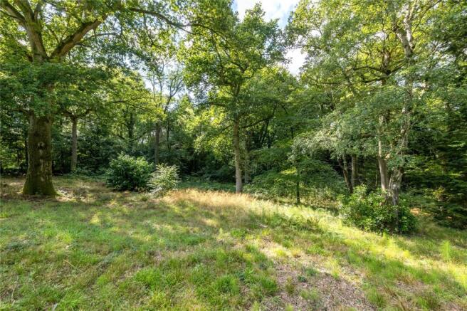 Woodland