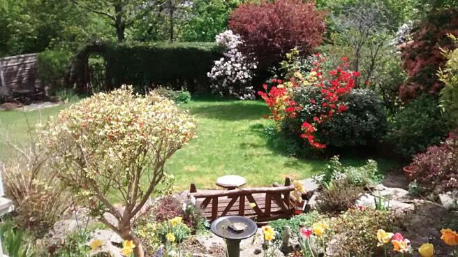 Rear Garden - Summer