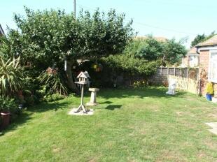 Garden 1