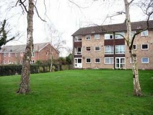 Communal grounds