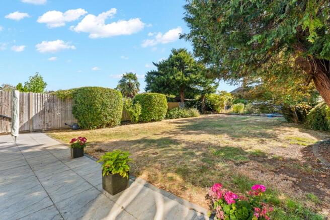 Back Garden